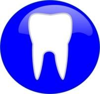 Tooth Clip Art N42