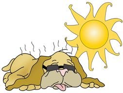 cartoon dog suffering from heat