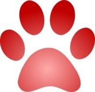 Red Paw Print Clip Art N12