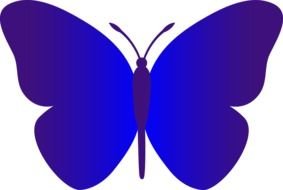 painted big blue butterfly on a white background