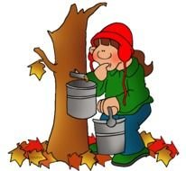 Maple Syrup Clip Art N4