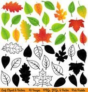 Transparent Fall Leaves Clip Art
