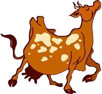picture of a proud cow