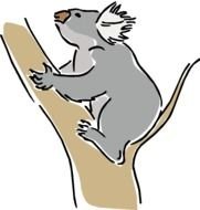 Koala Bear Clip Art N14