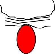Beaker Clip Art N14