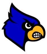 Louisville Cardinals Logo N2