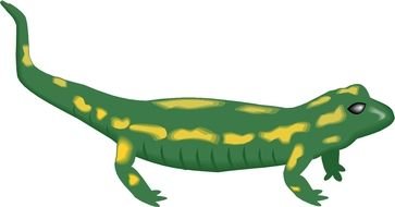 green Cartoon Lizard drawing