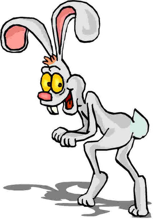 Rabbit Clip Art N49