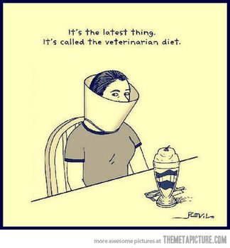 Funny Diet Cartoons N2