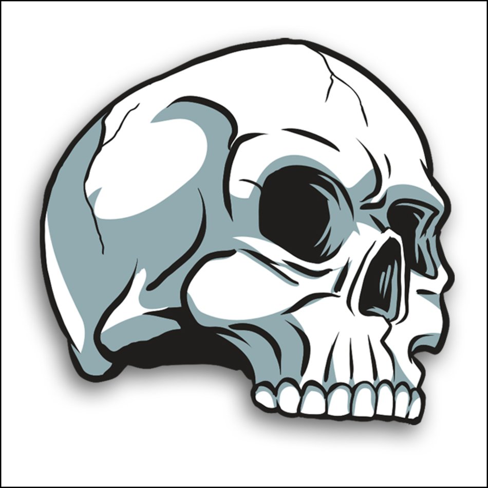 Skull Clip Art N31