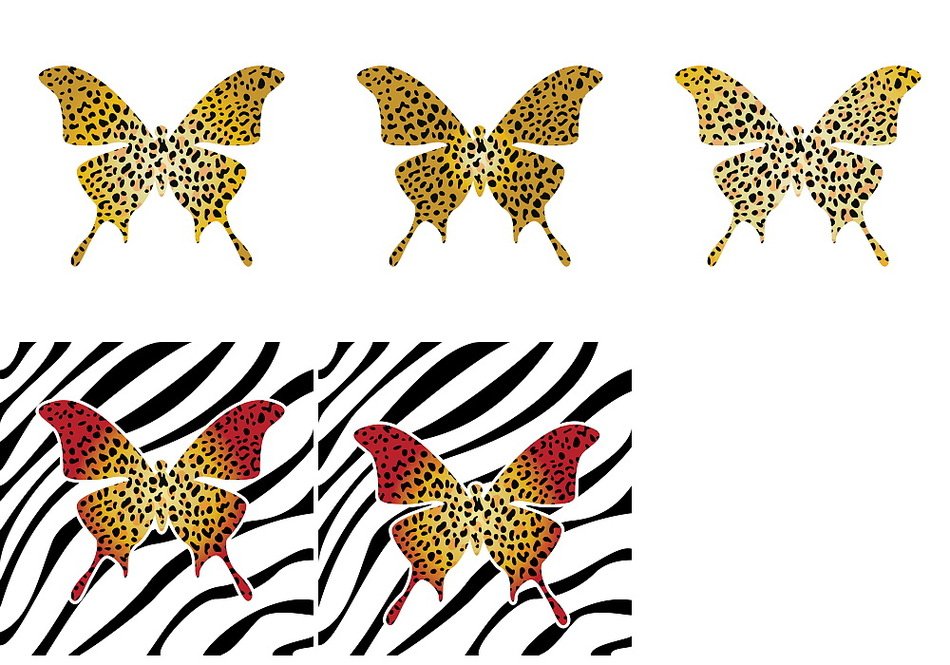 Vector Butterflies drawing