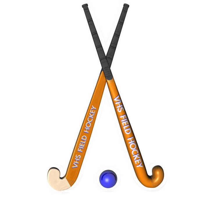 Field Hockey Sticks N2