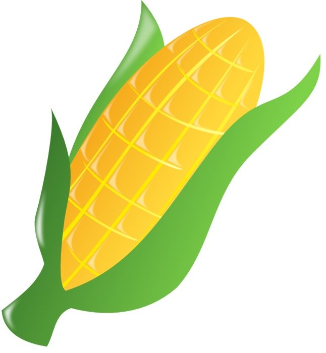 İllustration of Corn