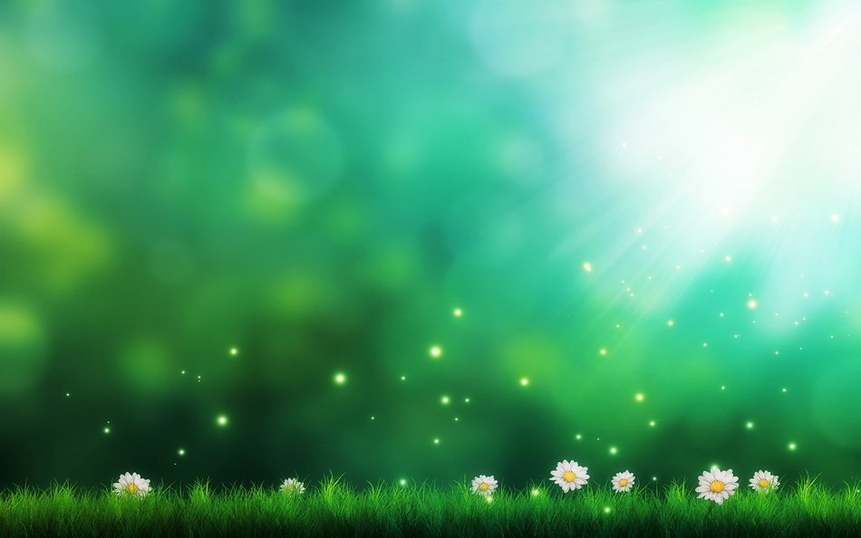 Green Daisy card drawing