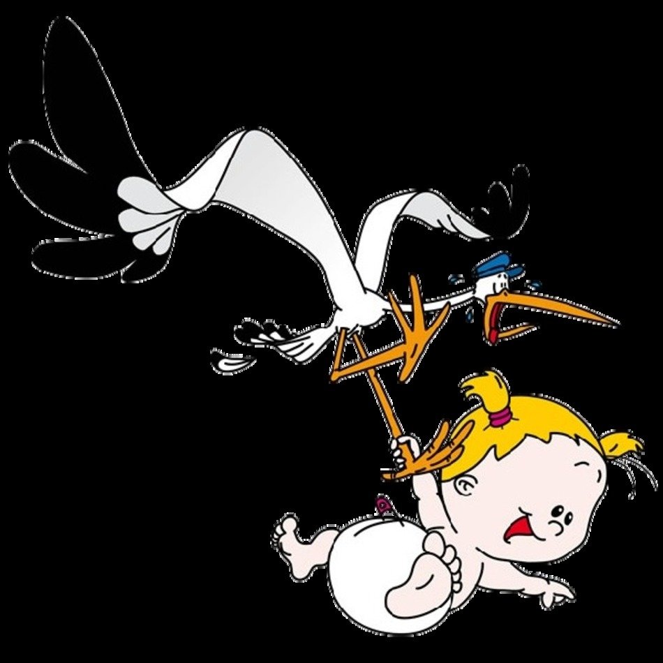 Stork Carrying Baby Girl N2