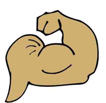Cartoon Muscle Arm Clip Art N19