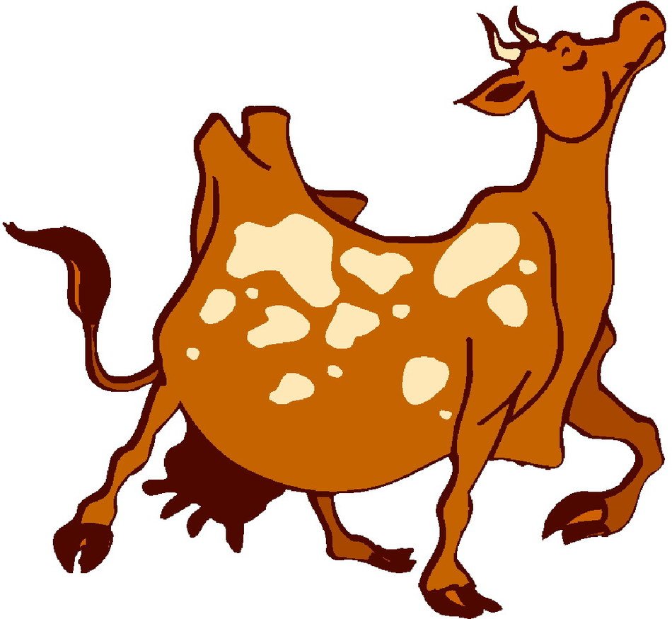 picture of a proud cow