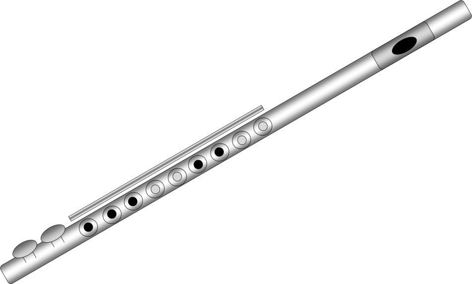 Ä°llustration of Cartoon Flute