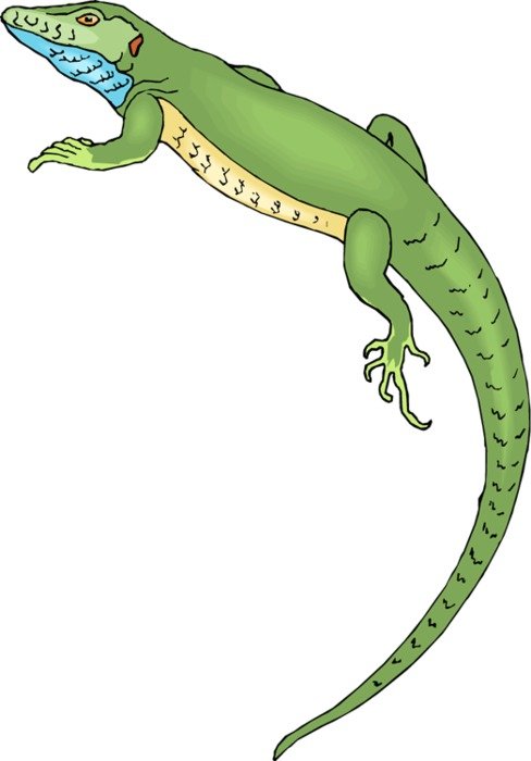 Lizard Clip Art N34