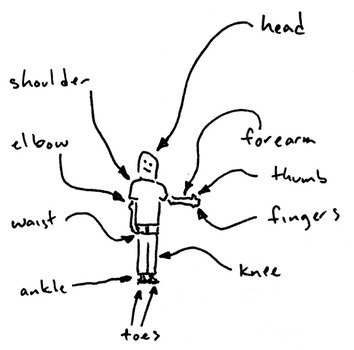 Cartoon Body Parts