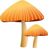 orange Mushroom drawing