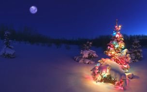 Beautiful snowy landscape with the lights in winter