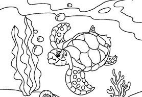 Sea Turtle Coloring Pages drawing