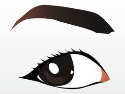 painted brown female eye and eyebrow