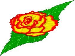 big beautiful flower on a green leaf as a graphic illustration