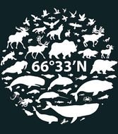 Arctic Animals Clip Art N4