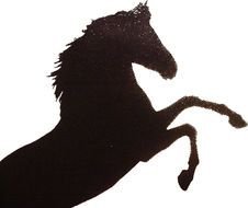 black horse silhouette reared up