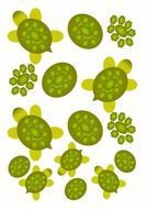 cartoon green turtles at white background