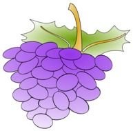 dark Grapes Clipart drawing