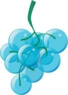 drawn light blue grapes