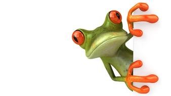 Funny Frog as picture for clipart
