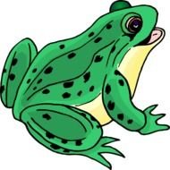 Frog Clip Art N102
