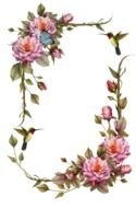 Rose Borders And Frames drawing