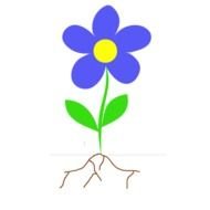 Plant With Roots Clip Art N4
