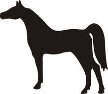 nice Horse Silhouette Clip Art drawing