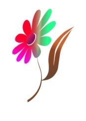Colorful beautiful flower with the brown leaf clipart