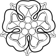 Black And White Rose drawing