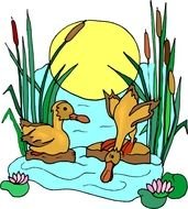 Duck Pond drawing
