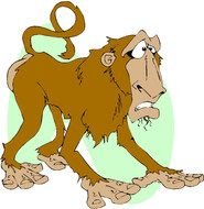 picture of an old monkey