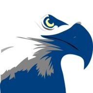 Blue Eagle Logo N5