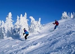 Picture of Snow Skiing People