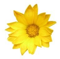 Single Flower Clip Art N5