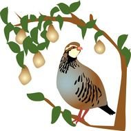 A Partridge In Pear Tree Clip Art N2