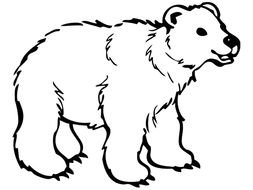 black and white drawing of a polar bear