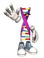 Hardy Weinberg Equation drawing