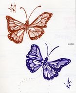 Clip art of Butterfly Line Drawing